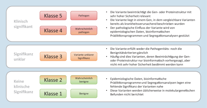 Quelle: https://link.springer.com/article/10.1007/s00108-018-0457-7